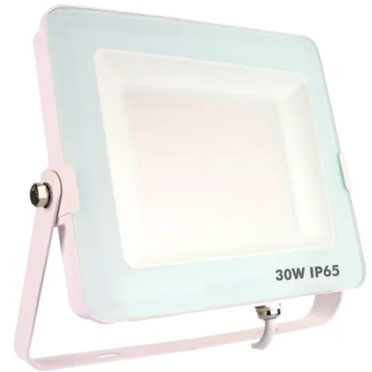 Silver Foco proyector ip65 30w 5700k 2.400lm blanco