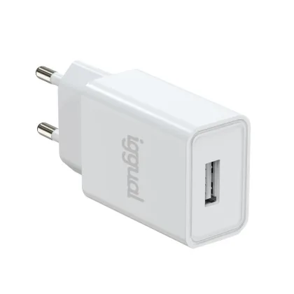 iggual de pared 1xUSB-A 5V/2A (10W)
