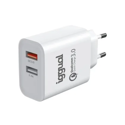 iggual doble 2xUSB carga rápida QC3.0 30W