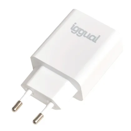 iggual rápido USB Pd tipo C 20W