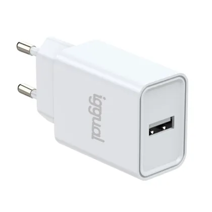 iggual de pared 1xUSB-A 5V/2.4A (12W)