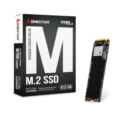 Biostar M710 512Gb Pcie Gen3x4 NVME 1.3