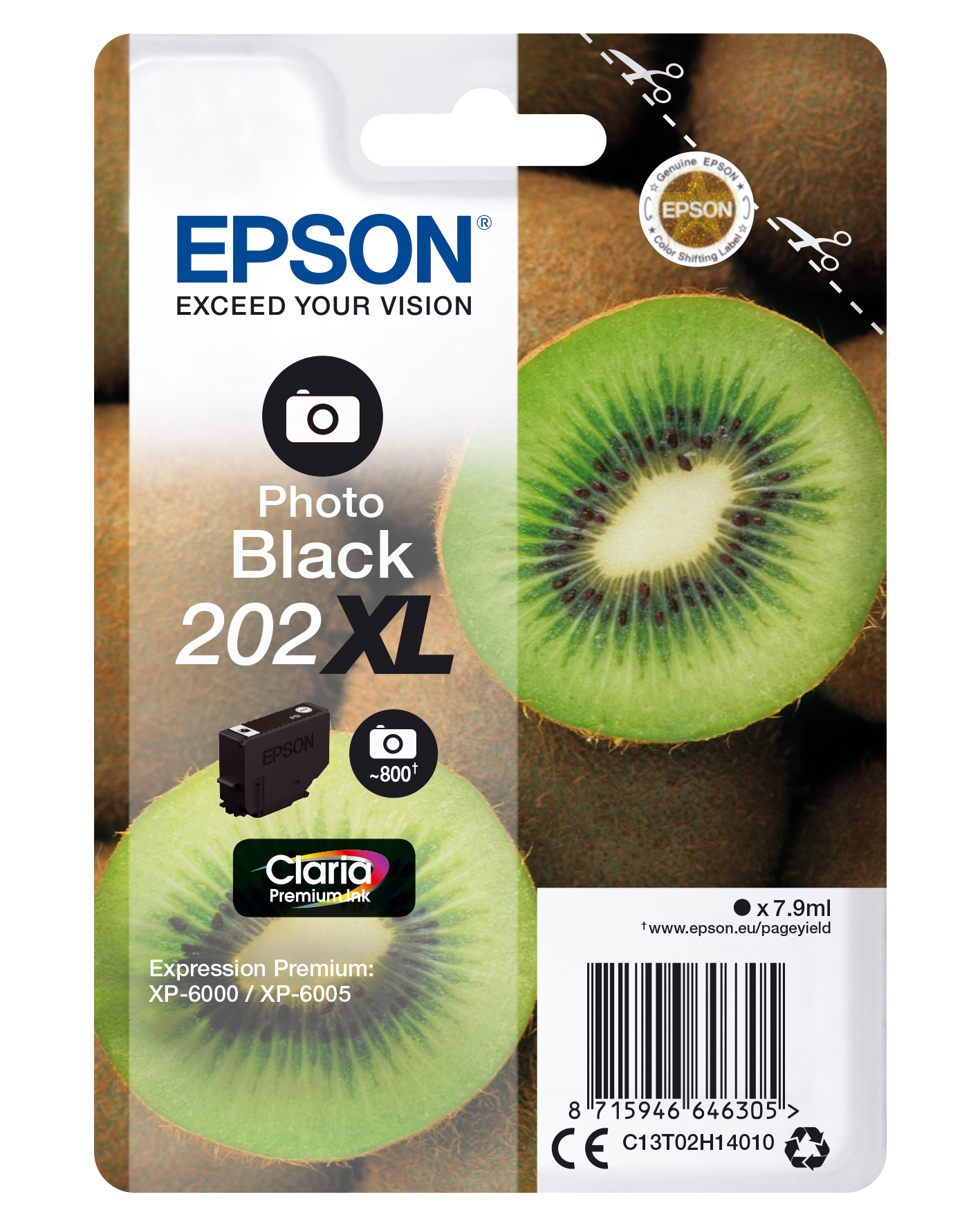 Epson Singlepack Photo Black