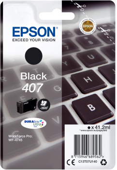 Epson Ink Cartridge L Black 2, 6k 407
