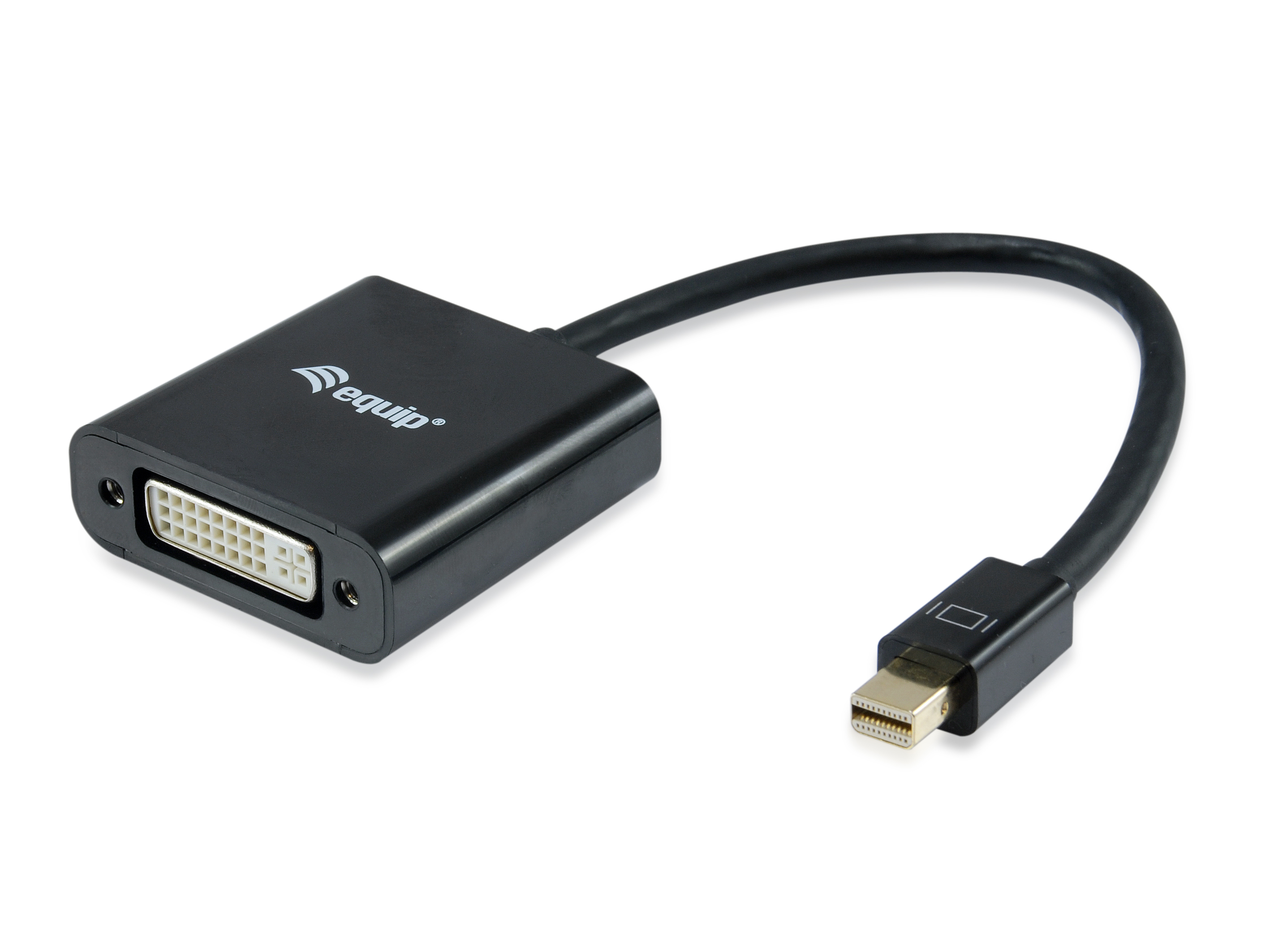 Equip Mini – DisplayPort / DVI