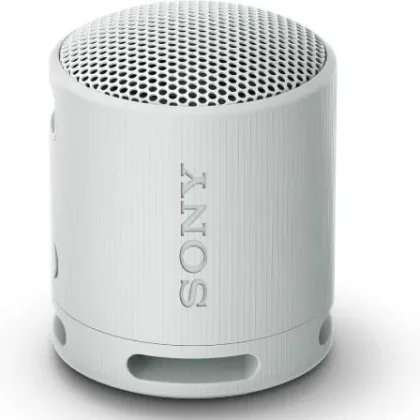 Sony Portable con Gris – Bluetooth
