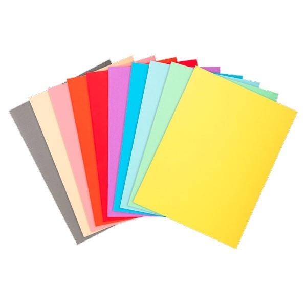 Exacompta Paq.100 subcarpetas Forever 220g colores surtidos