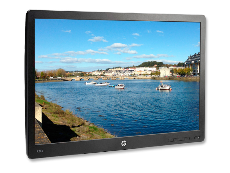 HP ProDisplay P223 21.5'' LED 16:9| | 1920x1080 Reacondicionado
