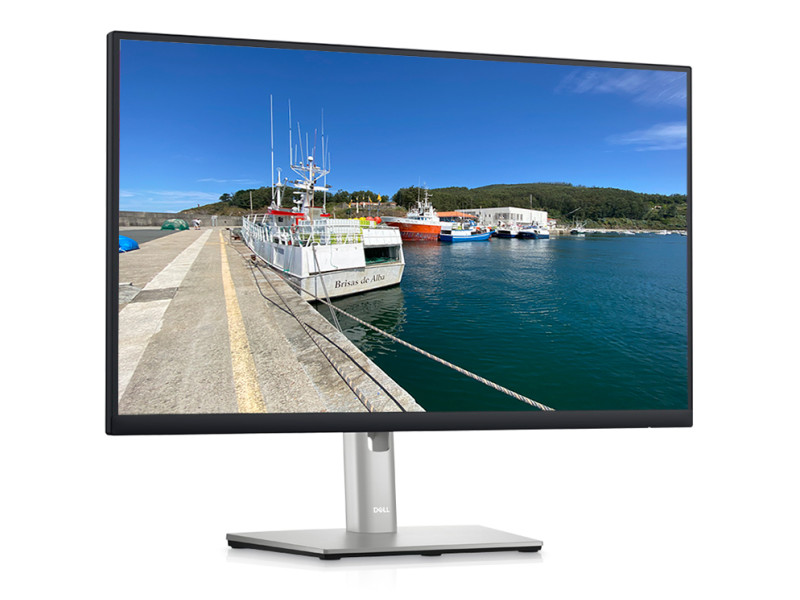 Dell P2422H 24'' IPS 16:9| | 1920x1200 Reacondicionado