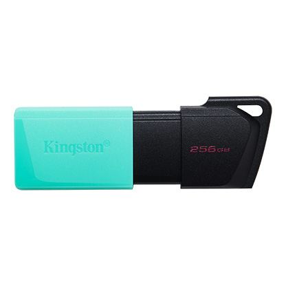 Kingston ÷ Memoria USB 256gb dtxm/256 usb3.2 exodia m