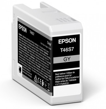 Epson Singlepack Gray