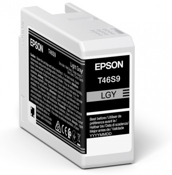 ÷ Tinta original epson t46s9 gris claro 25ml